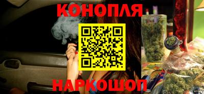 прущие грибы Пыть-Ях