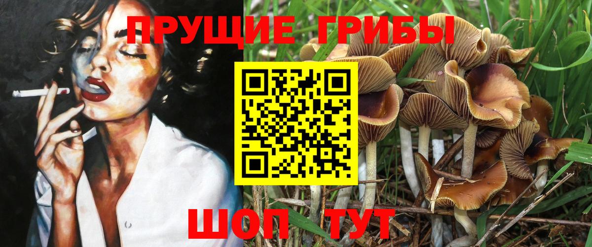 купить  сайты  Псилоцибиновые грибы Psilocybine cubensis  Вход с VPN  Печора 