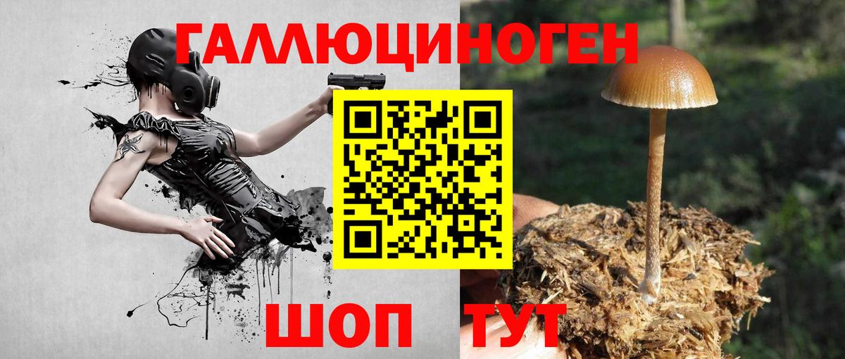 Псилоцибиновые грибы мицелий Печора